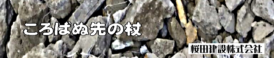 ころばぬ先